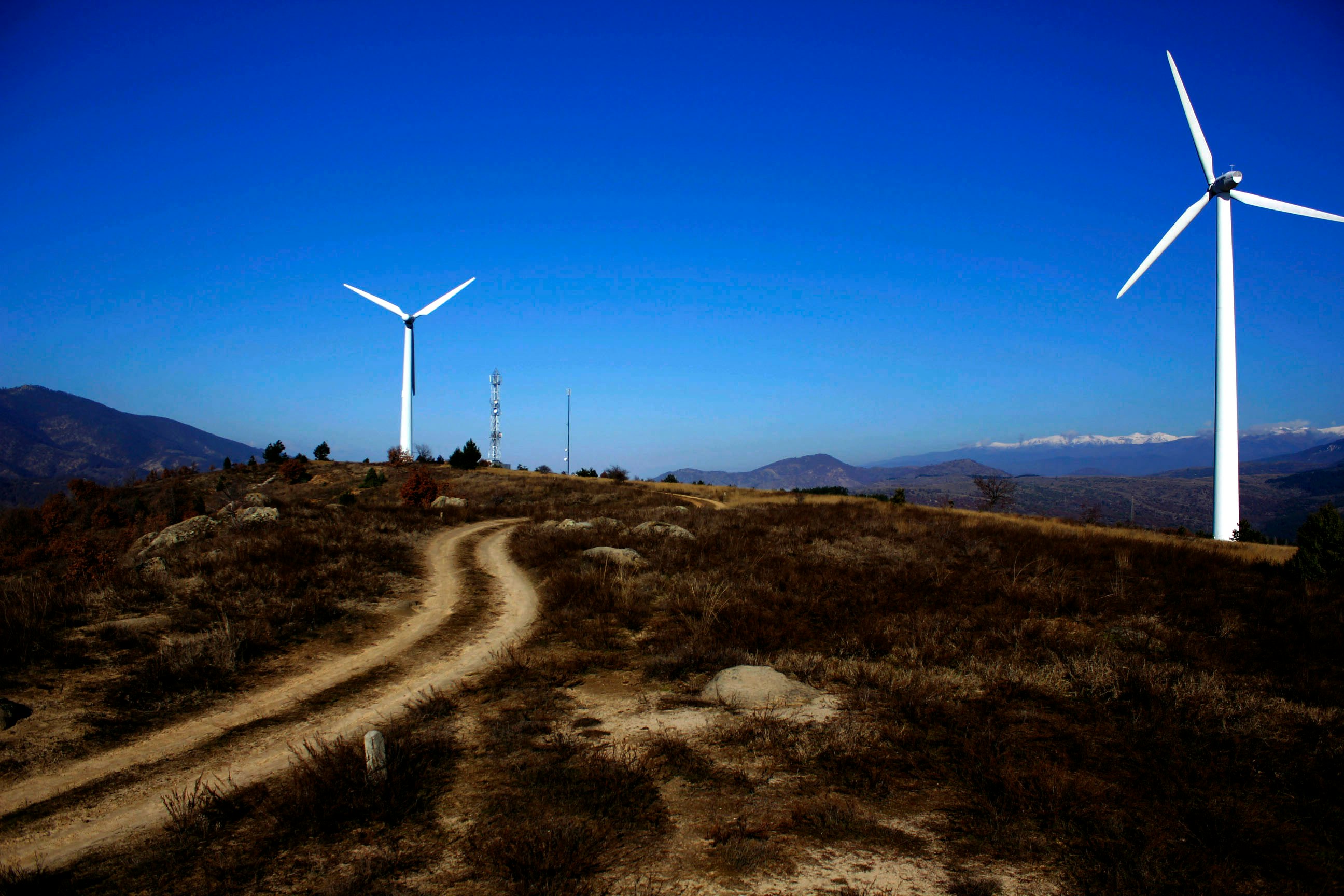 brown grass and two white windmills